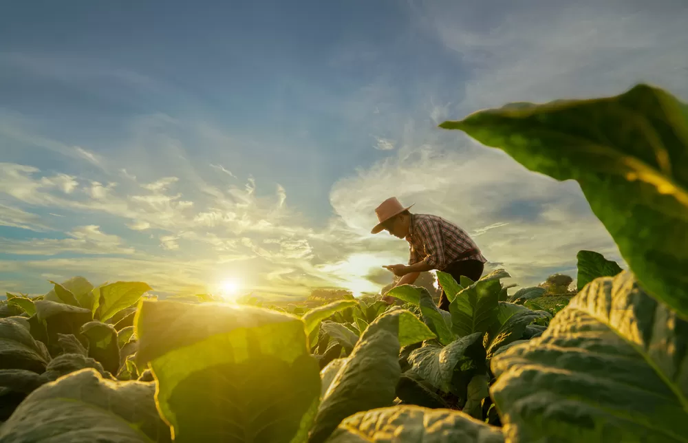 Agricoltori