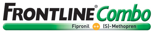 FRONTLINE