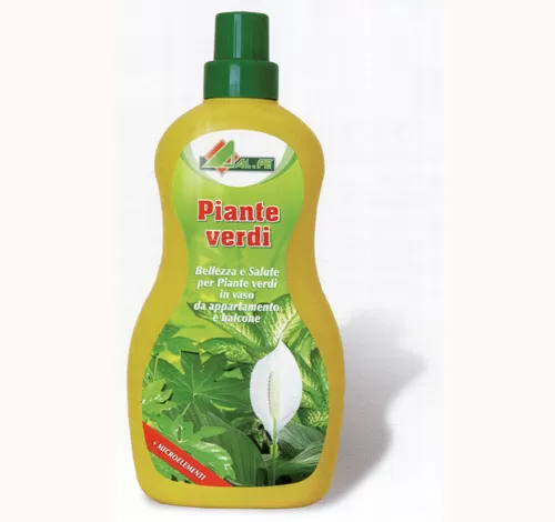 Concime per piante verdi alfe