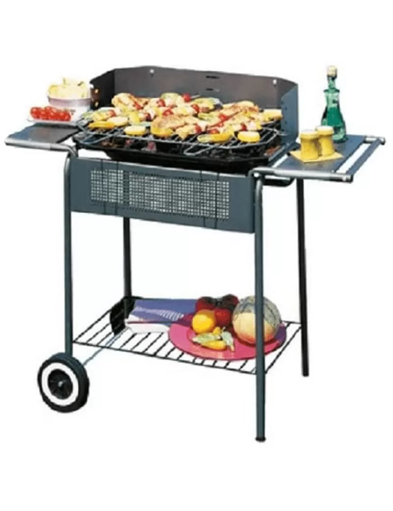 Barbecue port camargue b1072142 biacchi