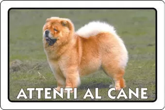 Cartello all. attenti al cane 0791.00.20 d&b