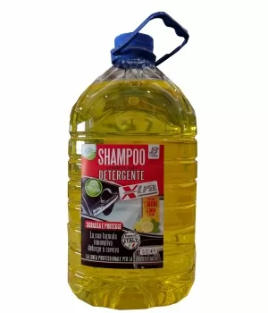 SHAMPOO AUTO 5L 31710 BOTTARI