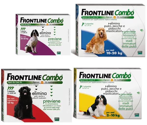 Frontline combo cani